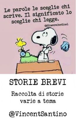 Storie Brevi