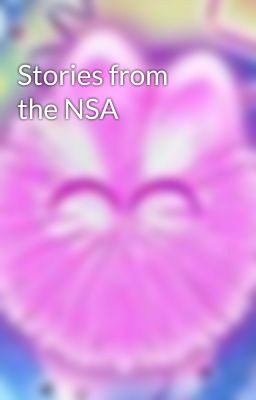 Stories from the NSA