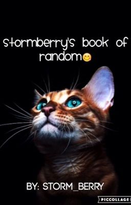 Stormberry's Book of Random!!