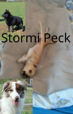 Stormy Pek