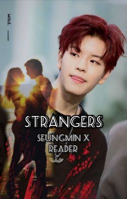 Strangers ~ Seungmin X Reader