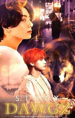 STRAY DAWGZ | taekook