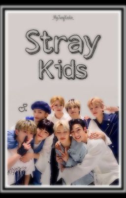 STRAY KIDS ✔