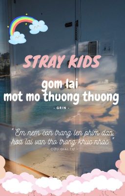 stray kids | gom lại một mớ thương thương