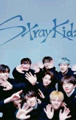 🎀Stray kids Humor🎀 chats 📱