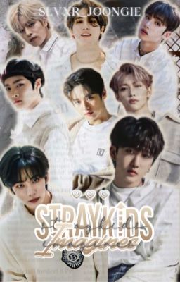 Stray kids imagines