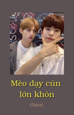 [Stray Kids] Mèo dạy cún lớn khôn