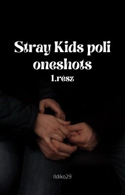 Stray Kids poli oneshots 1.rész✔️