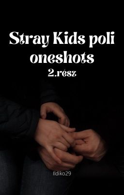 Stray Kids poli oneshots 2.rész