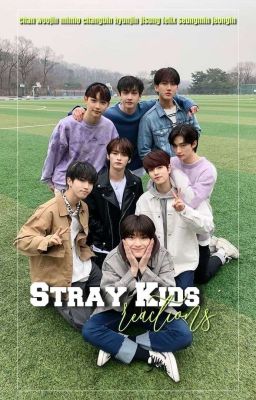 stray kids reactions