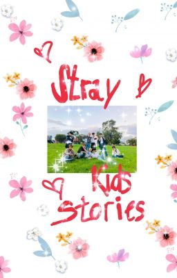 stray kids stories