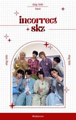 stray kids ; trans ; incorrect skz