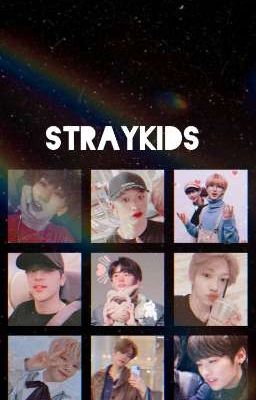 Straykids 