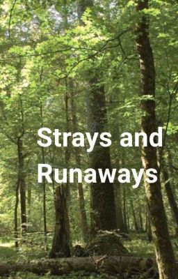 Strays and Runaways