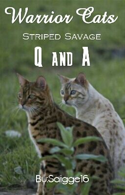 Striped Savage Q&A Book