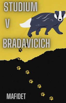 Studium v Bradavicích