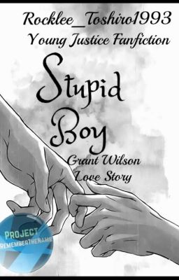 Stupid Boy ||Young Justice - Grant Wilson||