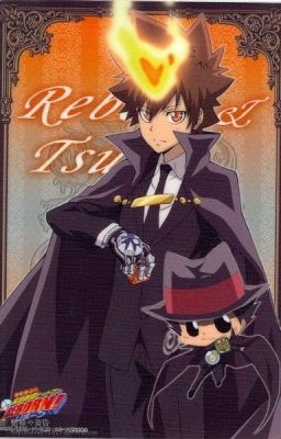 Sự trở lại của Tsuna , VONGOLA DECIMO