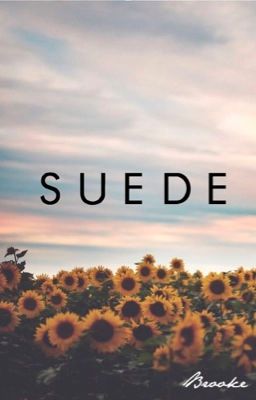 Suede || Dallas Winston