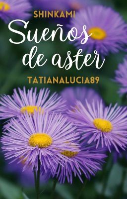 Sueños de aster - ShinKami