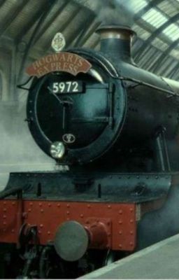 Sull'Hogwarts Express