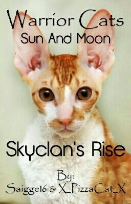 Sun And Moon: Book 1- Skyclan's Rise