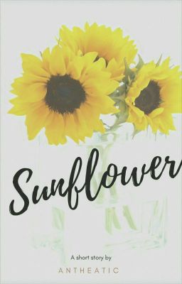 ❁sunflower❁