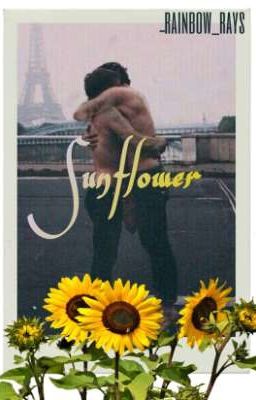 Sunflower || Larry Stylinson AU