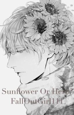 Sunflower or Hero? (Hetalia fanfic)