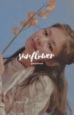 sunflower ➳ taennie