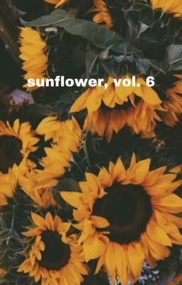 sunflower, vol. 6  ⥤  my oc's