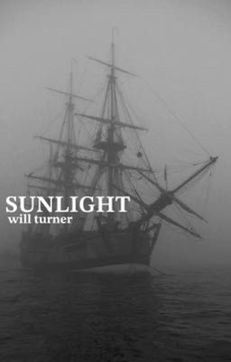 sunlight, will turner 