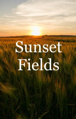 Sunset fields  || fanfic ||