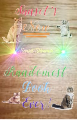 Sunset's NEW Randomest Book Ever! [COMPLETED]