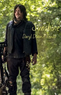 Sunshine (Daryl Dixon X Reader)