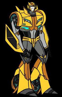 sunstreaker x reader oneshots REQUESTS OPEN