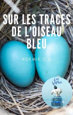 Sur les traces de l'Oiseau Bleu - 