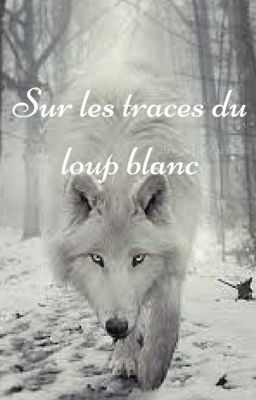 Sur les traces du loup blanc