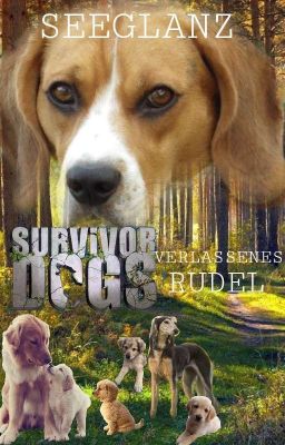 Survivor Dogs: Verlassenes Rudel