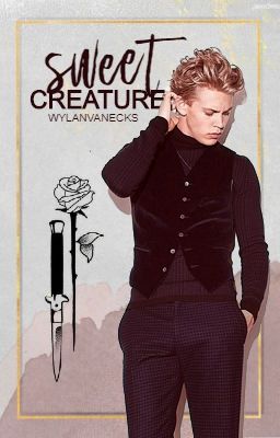 Sweet Creature ▹ Alec Lightwood [2] ( SLOW UPDATES )