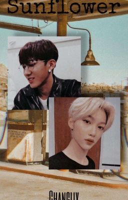 || sᴜɴғʟᴏᴡᴇʀ || (°•Changlix•°)