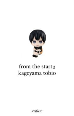 ⋆·˚ ༘ * t. kageyama - from the start