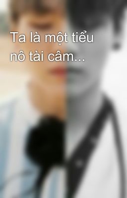 Ta là một tiểu nô tài câm...