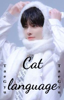 (Taegyu) Cat language