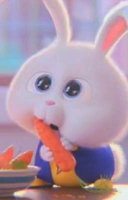 taekook || carrot  ||