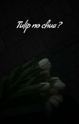 [taekook] tulip nở chưa? 