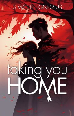 Taking You Home | DE