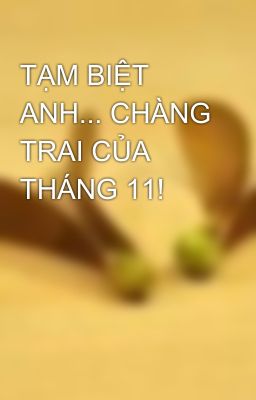 TẠM BIỆT ANH... CHÀNG TRAI CỦA THÁNG 11!