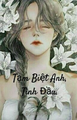 Tạm Biệt Anh, Tình Đầu.