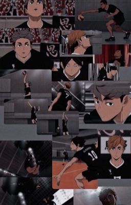 [Tạm Drop][Đồng Nhân Haikyuu] Trân Bảo Của Những Con Cáo